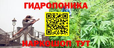 ГАЛЛЮЦИНОГЕННЫЕ ГРИБЫ Усть-Илимск