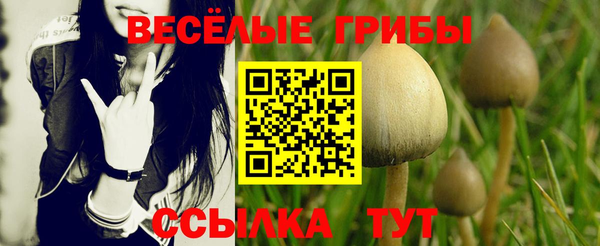 Галлюциногенные грибы прущие грибы Конаково